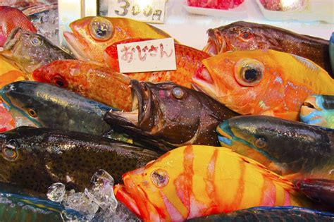 おばさん魚|沖縄名物オジサンってどういう魚？食べ方・料理方法・値段・さ。